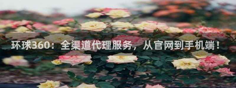 蓝图娱乐体育凯捷平台代理：环球360：全渠道代理服务，从官网到手机端！