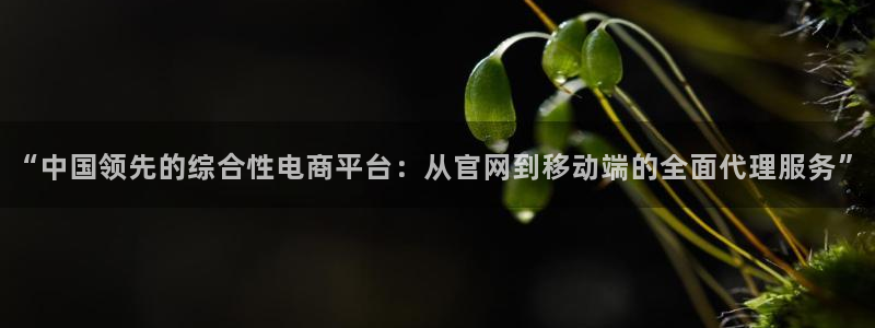 蓝图娱乐体育凯捷平台注册：“中国领先的综合性电商平台：从官网到移动端的全面代理服