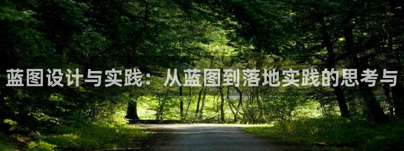 蓝图娱乐娱乐：蓝图设计与实践：从蓝图到落地实践的思考与