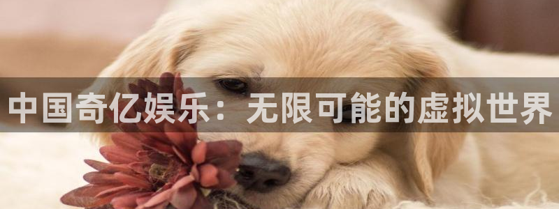 下载蓝图娱乐：中国奇亿娱乐：无限可能的虚拟世界