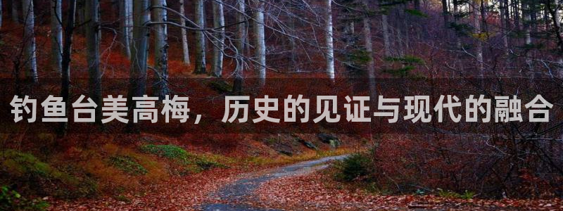 蓝图娱乐体育娱乐注册链接：钓鱼台美高梅，历史的见证与现代的融合
