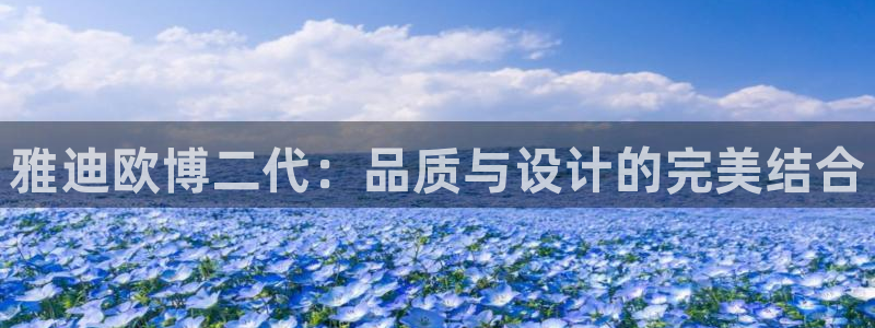 蓝图娱乐游戏官网平台入口：雅迪欧博二代：品质与设计的完美结合