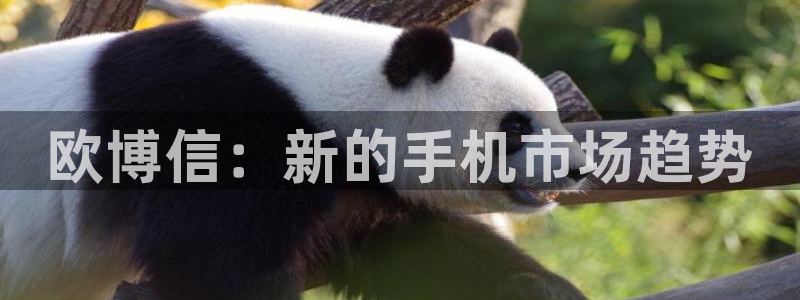 蓝图娱乐体育用品：欧博信：新的手机市场趋势