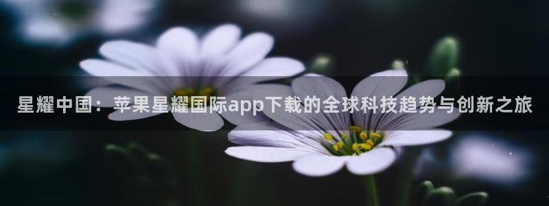 蓝图娱乐注册链接入口：星耀中国：苹果星耀国际app下载的全球科技趋势与创新之旅