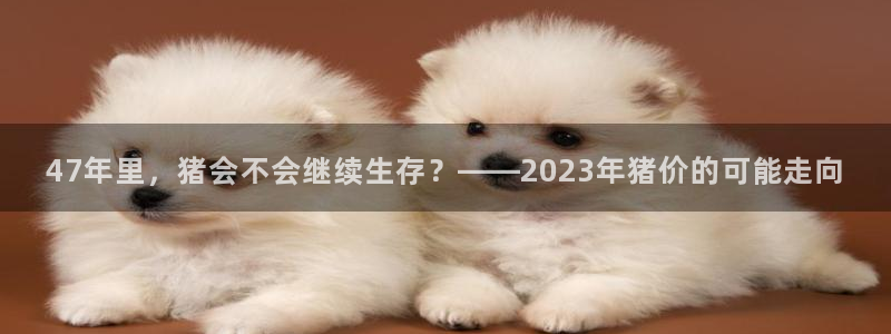蓝图娱乐体育1招商：47年里，猪会不会继续生存？——2023年猪价的可能走向