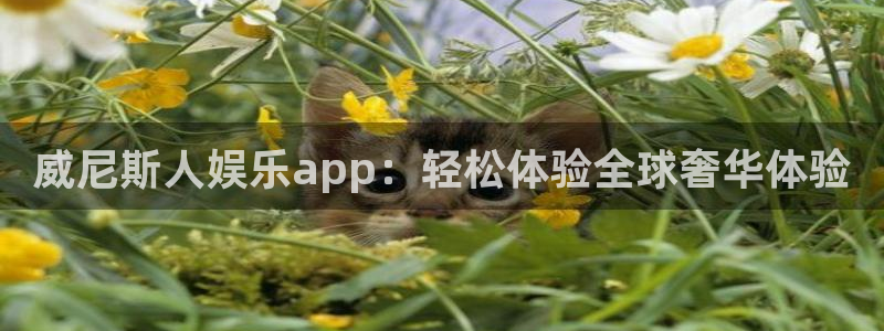 蓝图娱乐免费注册：威尼斯人娱乐app：轻松体验全球奢华体验