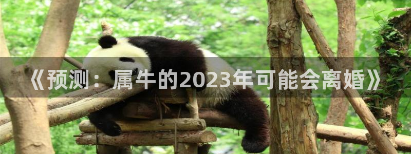 蓝图娱乐2代理注册：《预测：属牛的2023年可能会离婚》