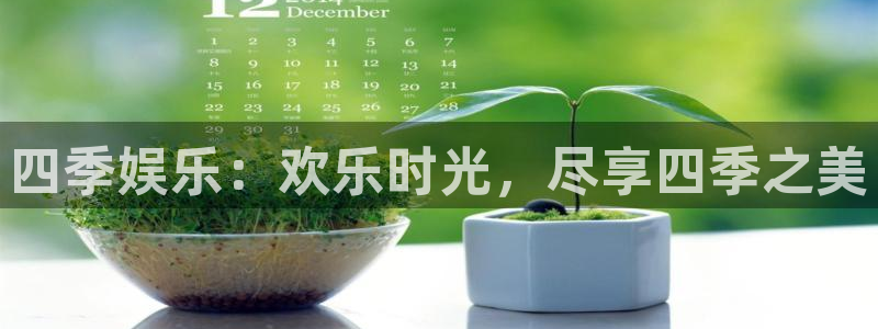 蓝图娱乐4：四季娱乐：欢乐时光，尽享四季之美