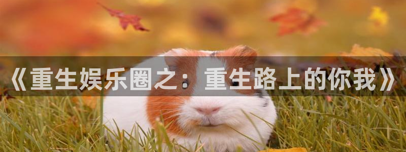 蓝图娱乐电子游戏网页版：《重生娱乐圈之：重生路上的你我》