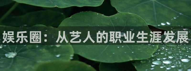 蓝图娱乐下载链接是多少：娱乐圈：从艺人的职业生涯发展