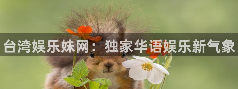 蓝图娱乐平台主管：台湾娱乐妹网：独家华语娱乐新气象