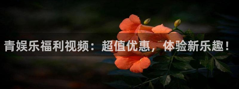蓝图娱乐平台：青娱乐福利视频：超值优惠，体验新乐趣！