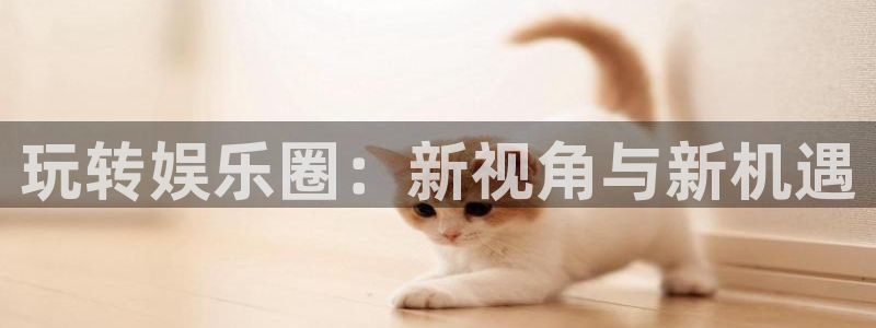 蓝图娱乐官网：玩转娱乐圈：新视角与新机遇