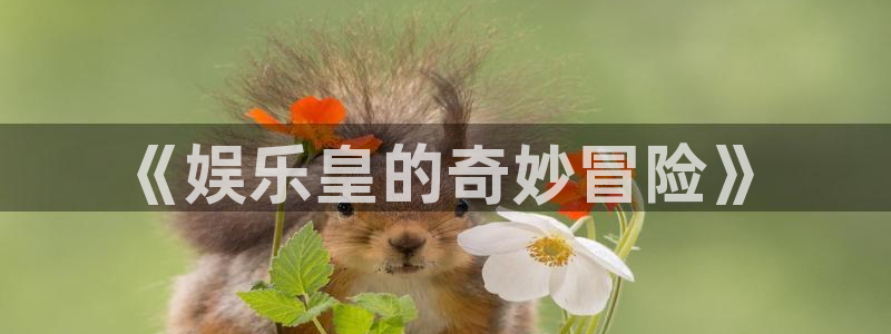福建蓝图娱乐机电股份公司：《娱乐皇的奇妙冒险》