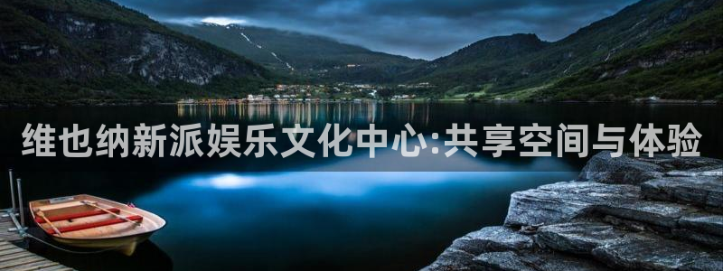 蓝图娱乐平台官方网站：维也纳新派娱乐文化中心:共享空间与体验