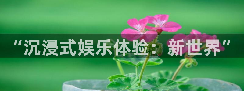 蓝图娱乐电子有限公司：“沉浸式娱乐体验：新世界”