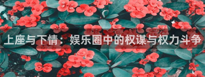 蓝图娱乐体育合法嘛：上座与下情：娱乐圈中的权谋与权力斗争