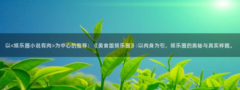 蓝图娱乐ccmpc麻将胡了：以<娱乐圈小说有肉>为中心的推荐：《美食版娱乐圈》: