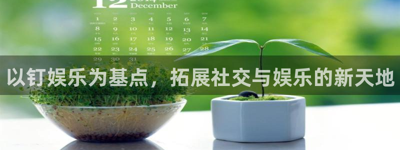 蓝图娱乐：以钉娱乐为基点，拓展社交与娱乐的新天地