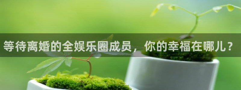 蓝图娱乐官网版：等待离婚的全娱乐圈成员，你的幸福在哪儿？