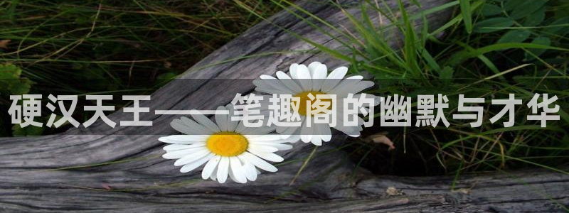 蓝图娱乐游戏官网平台入口：硬汉天王——笔趣阁的幽默与才华